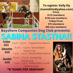 Sabina Stastna Agility Seminars