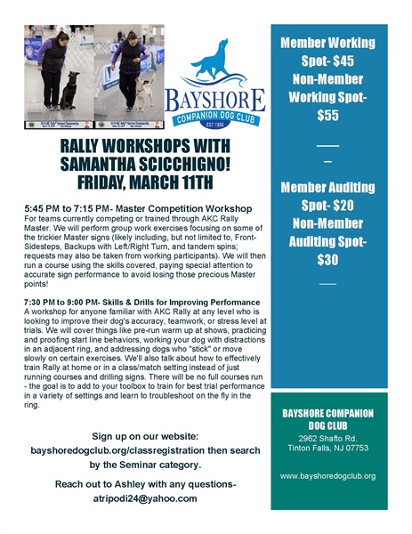 Rally Workshop- Skills and Drills for Improving Performance