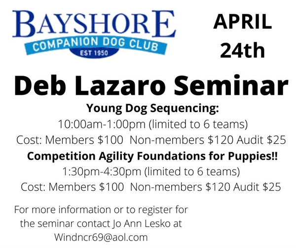 Deb Lazaro Agility Seminars