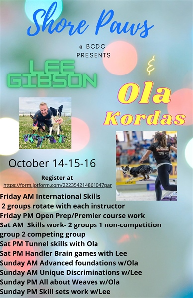 Lee Gibson and Ola Kordas Agility Seminars