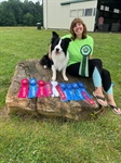Agility Workshop with Kelly Ely....All About Crosses, Which and When