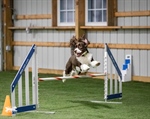 ACT AGILITY TRIAL