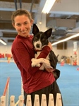 AGILITY SEMINAR - STEFANIE RAINER