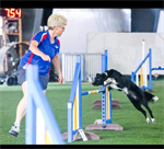 Agility Seminar - Judy Reilly