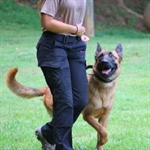 Obedience Match