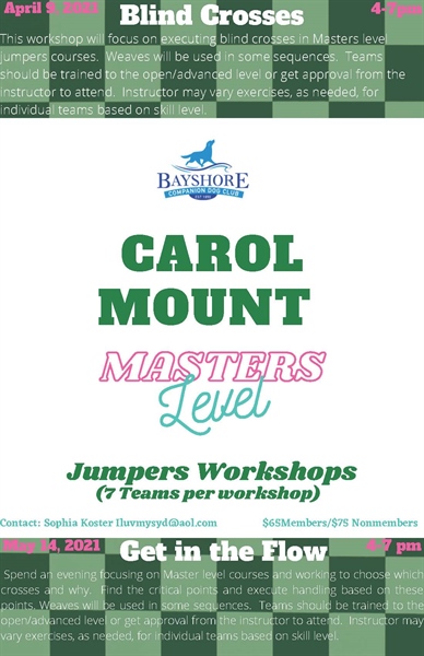 Agility Seminar- Get In The Flow- Strategies for Jumpers Courses w/ Carol Mount